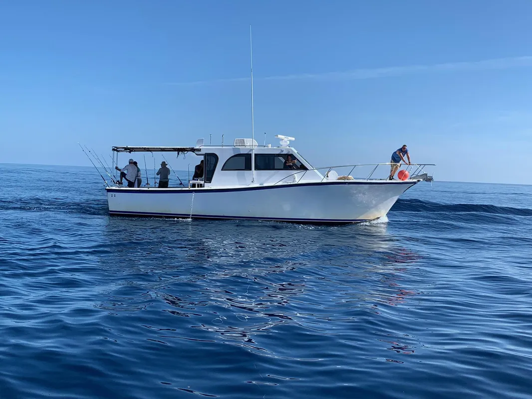 morgan sportfishing yacht