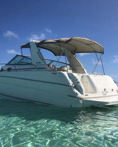 Sea Ray 290 SUNDANCER