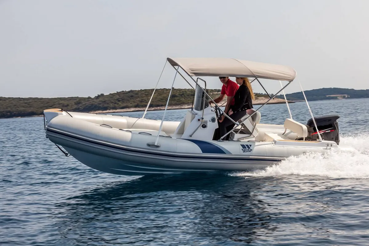 Tiger Marine 550