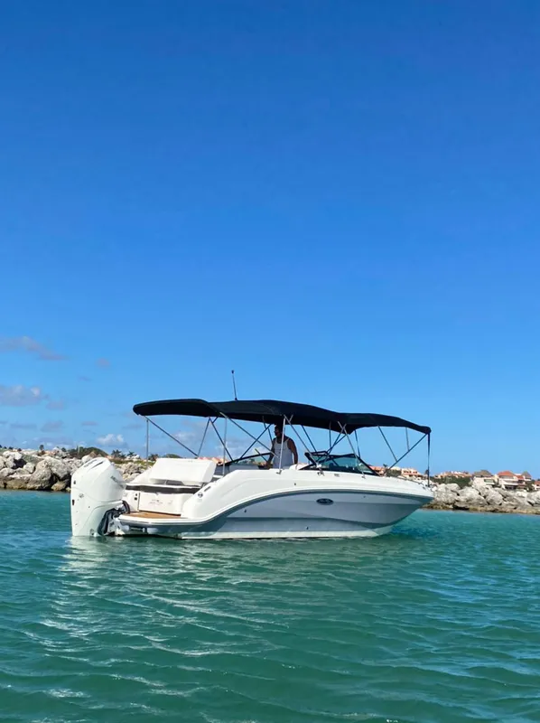 Sea Ray SDX 26