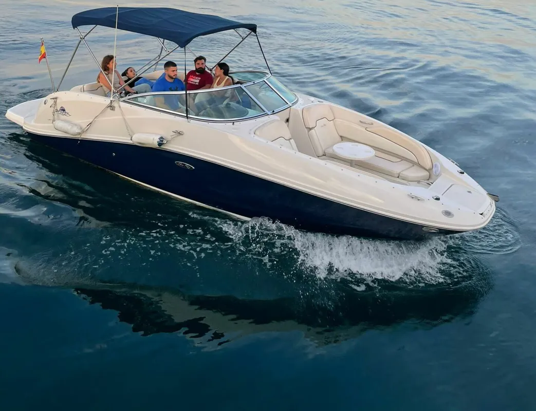 Sea Ray 260