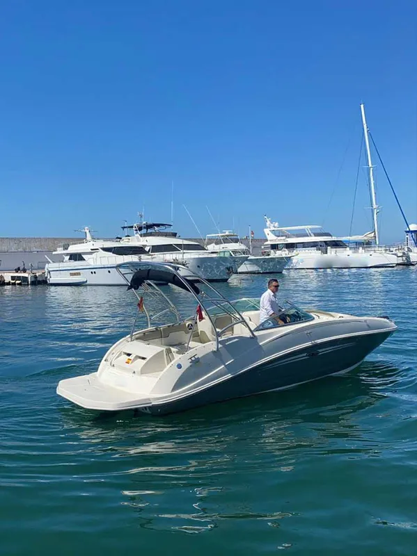 Sea Ray 260 SD