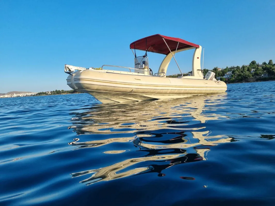 Qingdao lianya boatco.ltd Space Rib