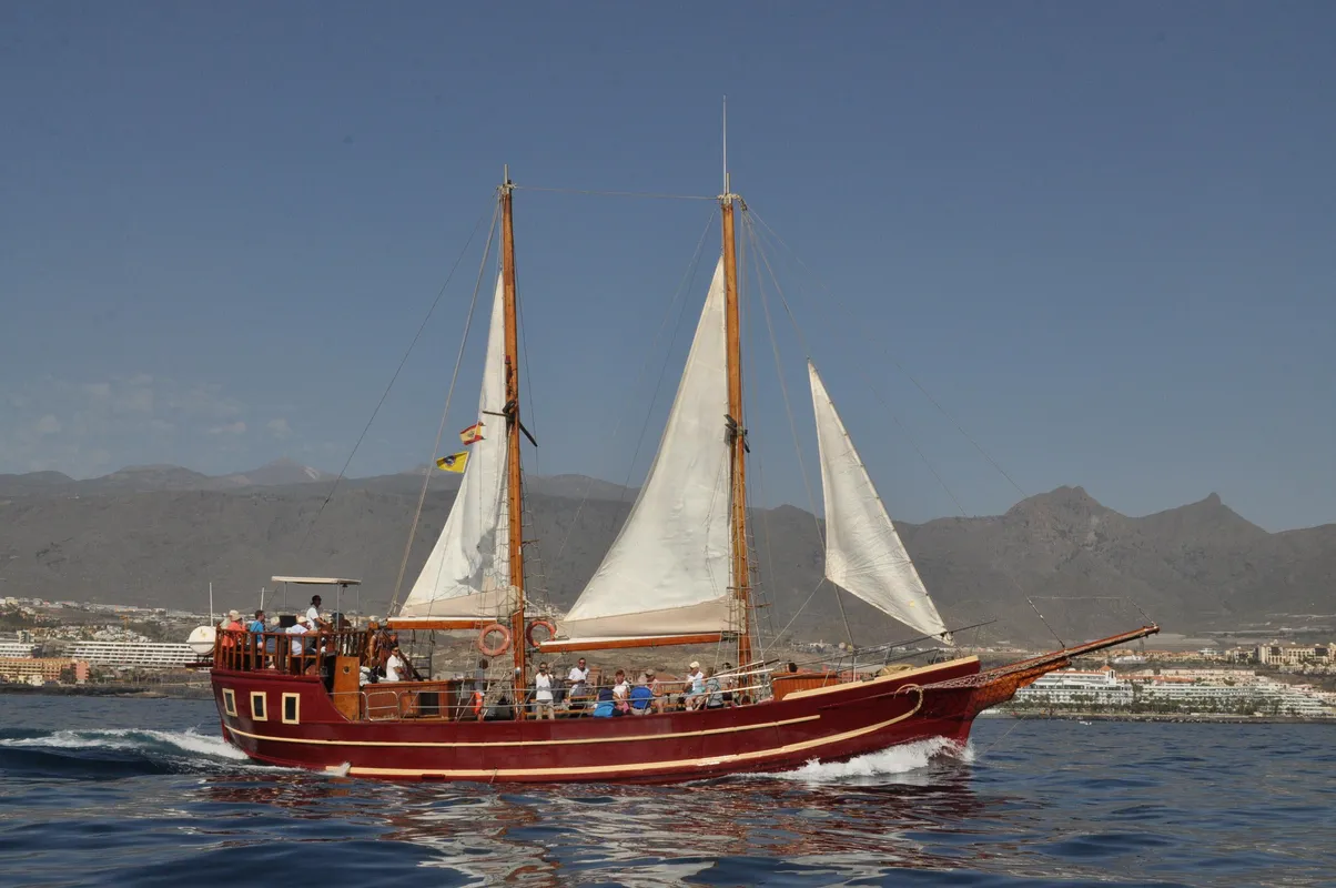 Unknown Portuguese schooner