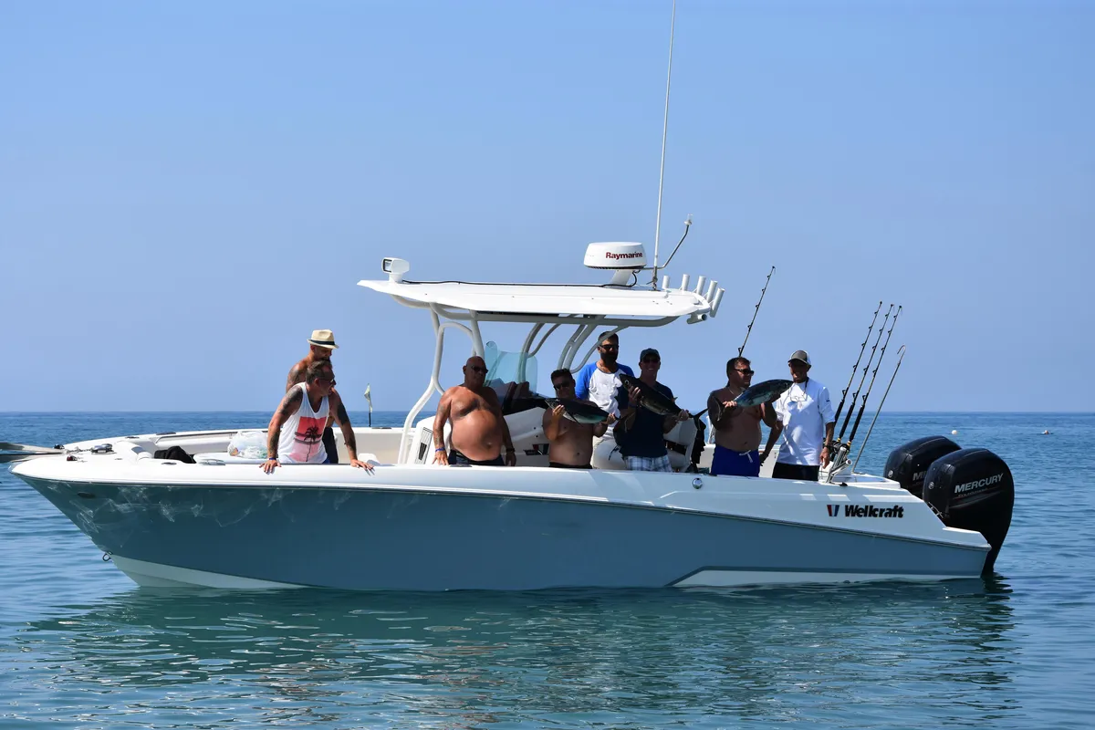 Wellcraft Fisher262
