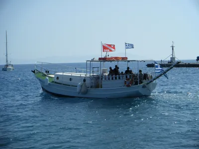 Private daily excursions for snorkeling and/or scuba diving