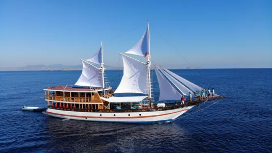 Iron wood Phinisi Bugisse Schooner