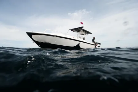 INTREPID 32ft