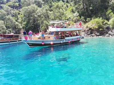 Turkish wood 49 ft daily tour