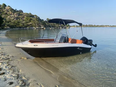 Nireus 490