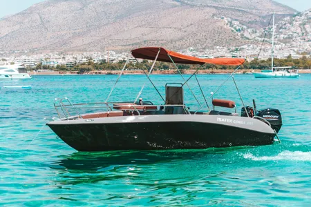 Cobra 495 (half or full day)