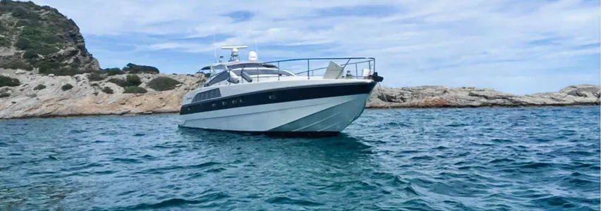 Alfamarine 50