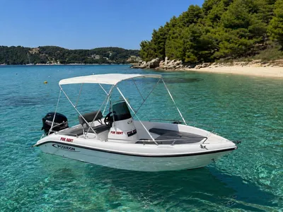 Boat For Rent  - Poseidon Blue Water 170