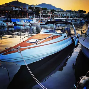 Fost Dream 28