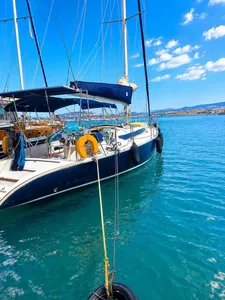 Dromor Apollo Plus 12