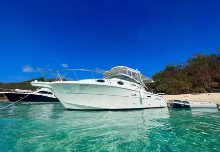 Wellcraft 30 Sport Cruiser with Cabin - Fajardo, Puerto Rico